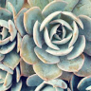 Meet your Posher, Deb